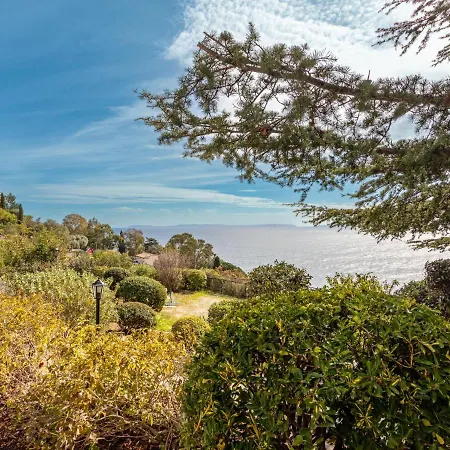 Les Floralies Ii-1 By Interhome Apartment Le Lavandou